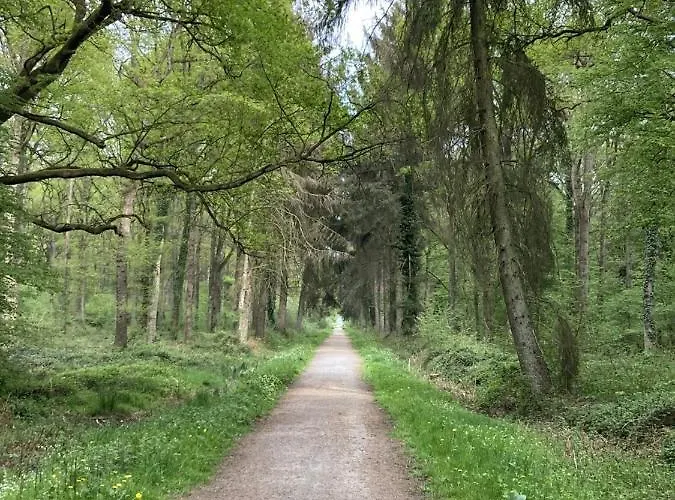 Le De La Longere Beuvry-la-Foret